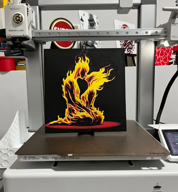 https://makerworld.bblmw.com/makerworld/model/USe82947352cf519/design/2025-01-13_ded4d6edf21b3.jpg