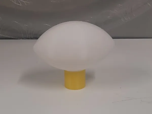 https://makerworld.bblmw.com/makerworld/model/USe82984b69aa215/design/d46f6f81f76581b9.jpg