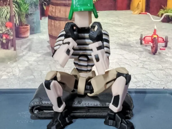 https://makerworld.bblmw.com/makerworld/model/USe82992c6a29f82/design/2025-11-03_481fd4bc8961b8.jpg