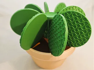 Cactus Coaster