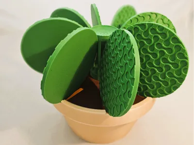 Cactus Coaster