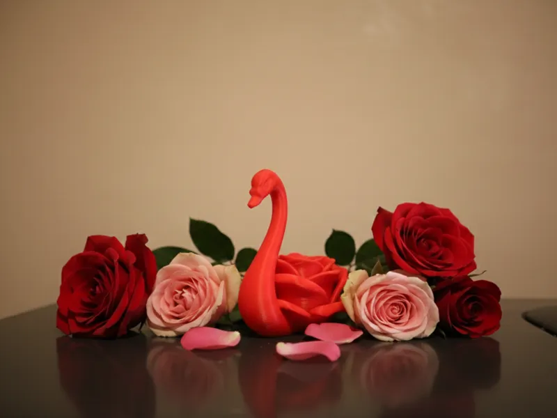 Rose Swan