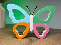 Beautiful Butterfly