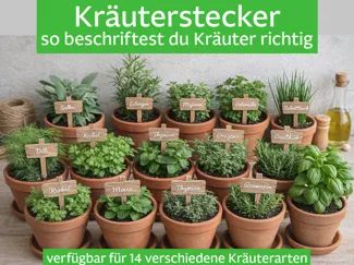 Kräuterstecker Set |14 verschiedene Kräuter