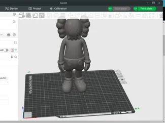 Kaws