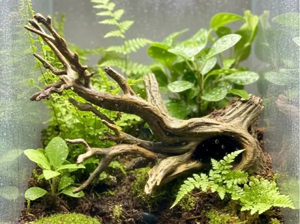 https://makerworld.bblmw.com/makerworld/model/USe831b0176c0d17/design/2025-12-17_7bafb4a1bcda98.jpg