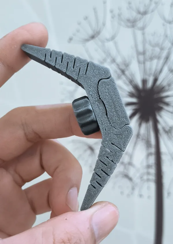 https://makerworld.bblmw.com/makerworld/model/USe833b4be529e0d/design/2024-06-14_5bf0d3ac2881c.jpg