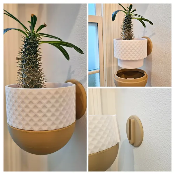 https://makerworld.bblmw.com/makerworld/model/USe83680574a06e2/design/2024-02-14_43991616f0a2b.jpg