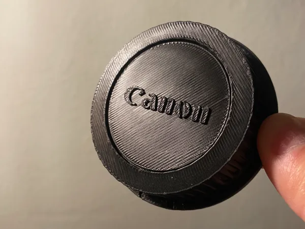 https://makerworld.bblmw.com/makerworld/model/USe838fe95502993/design/2024-12-14_8d73dbcd52a57.jpeg