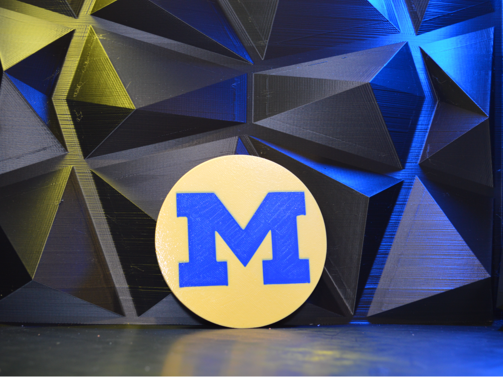 Michigan Wolverines coaster