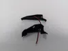 Nano FPV Tank Sides with LEDs only