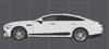 AMG GT Black and White Key Chain
