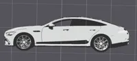AMG GT Black and White Key Chain