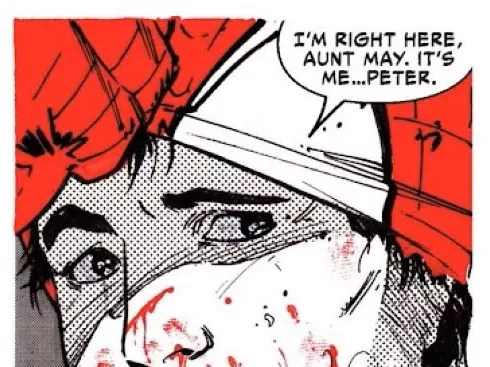 Spider- Man Peter Parker Hueforge