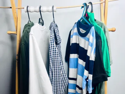 Clothes Hanger Organizer