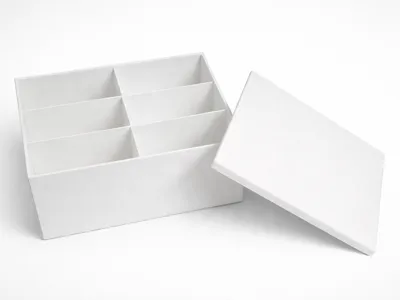 Sorting Box