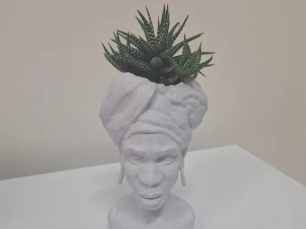 https://makerworld.bblmw.com/makerworld/model/USe84d58fa0e2b56/design/2025-07-17_677be67bc18fa.jpg