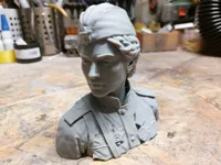 0.8mm nozzle, 0.4mm layer, 3 walls, 5% infill