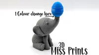 • NON AMS user • 1 Pause for colour change