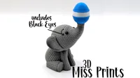 • AMS or Multi-Nozzle• Longer Print with Black eyes