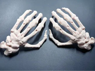 Halloween mano terrorífica (mano Izquierda)