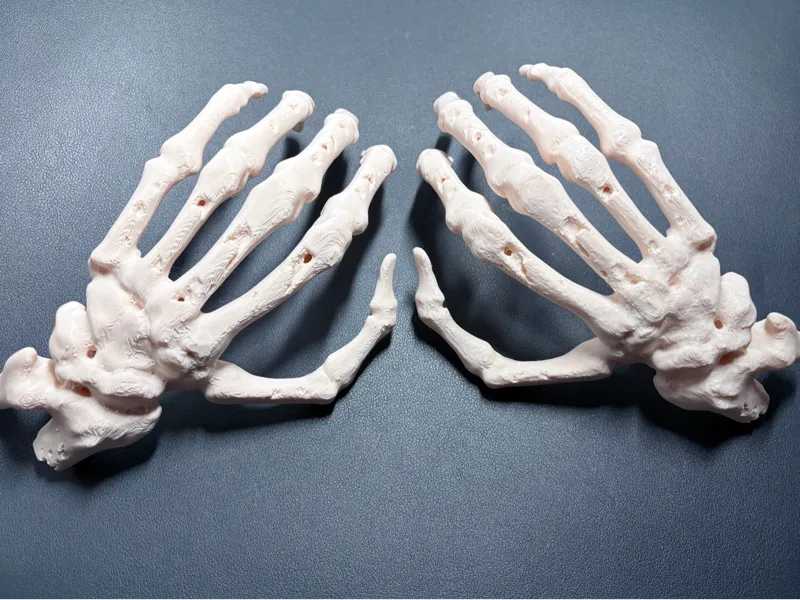 Halloween mano terrorífica (mano Izquierda)