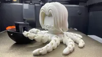 0.24mm layer, 3 walls, 5% infill