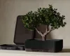 Bonsai Training Pot - Without legs