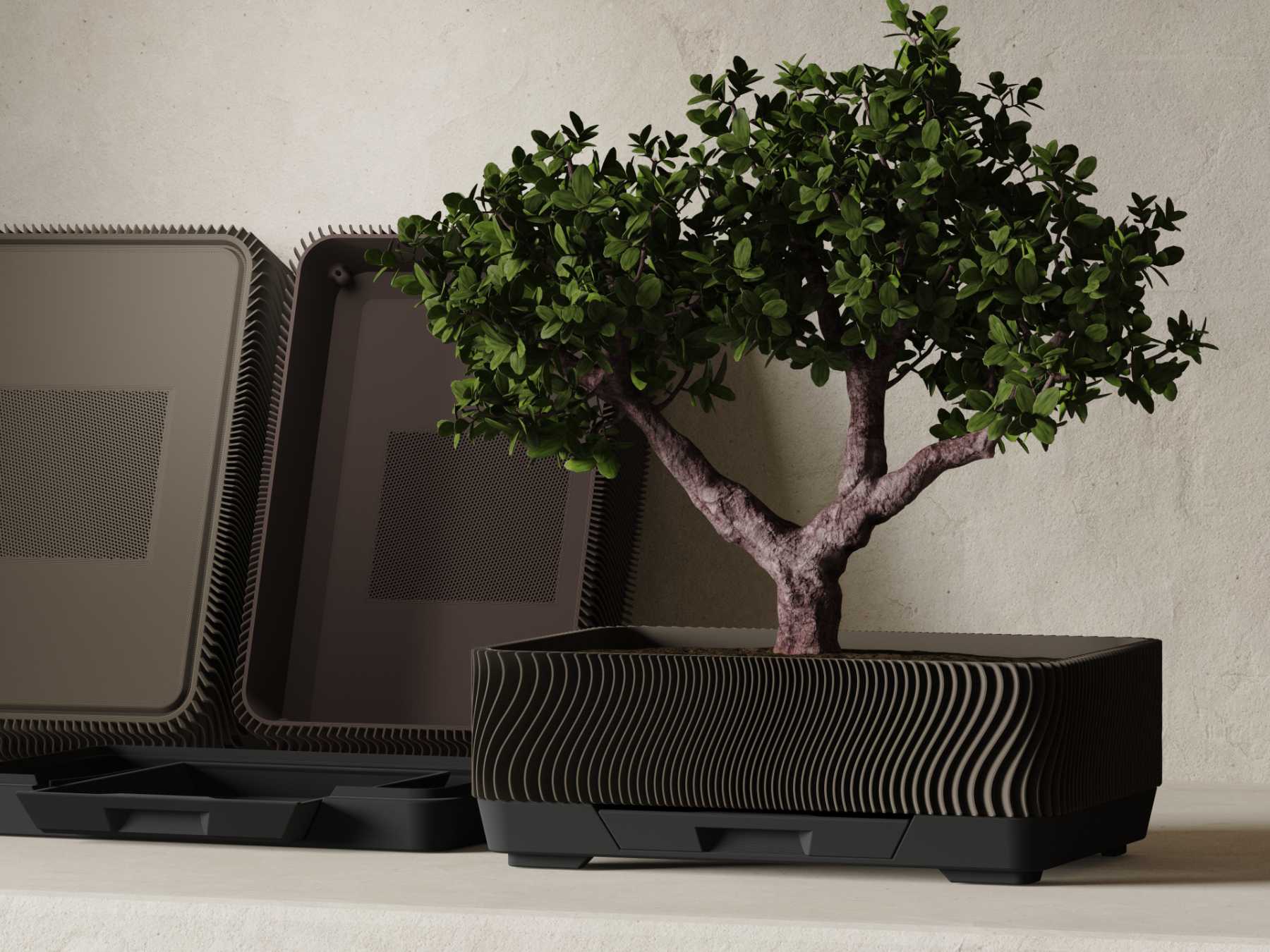 Bonsai Training Pot - Japandi Wave Planter & Tray
