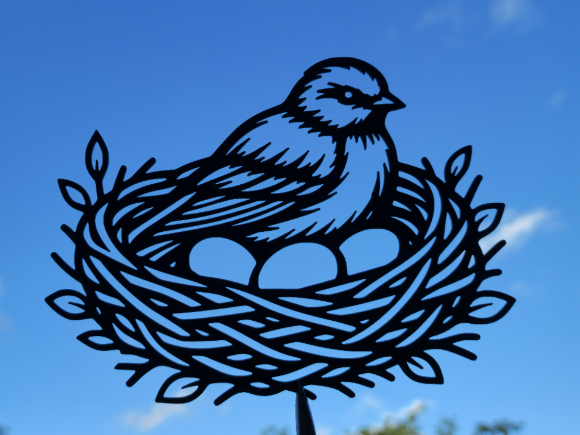 Bird Nest Eggs Wall Art