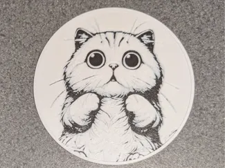 Wide eyed cute cat coaster