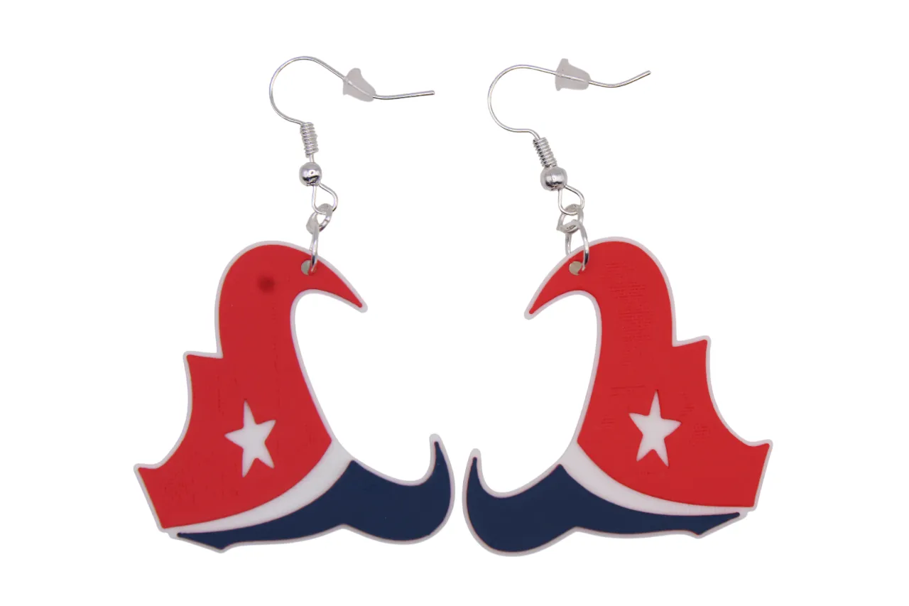 Houston Texans Earrings view 3