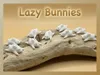 single bunny