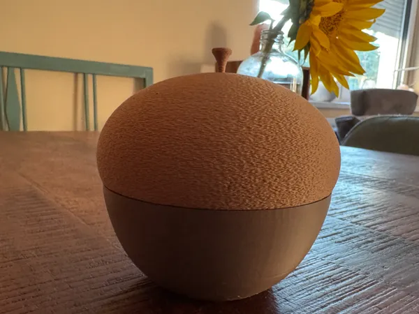 https://makerworld.bblmw.com/makerworld/model/USe87dd01d37cee/design/2025-07-30_20f038b3cd66b8.jpg
