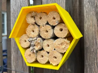Bee Home