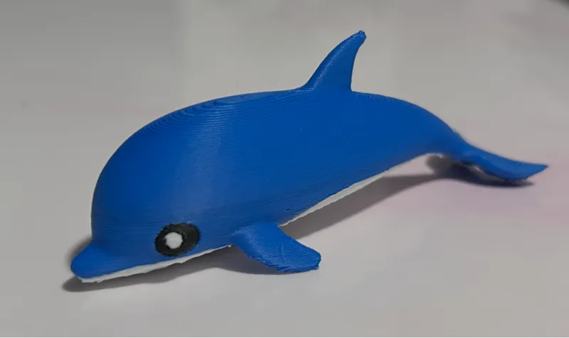 Cute Dolphin