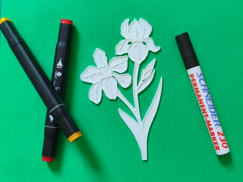 Flower (iris) to color