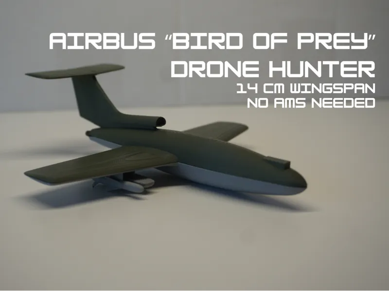 Airbus "Bird of Prey" Drone Hunter Scale Model