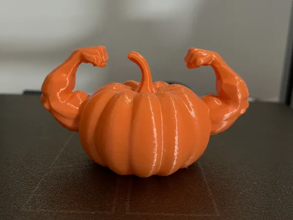 https://makerworld.bblmw.com/makerworld/model/USe885f9a68de607/design/2025-10-24_83017202b3a72.jpg