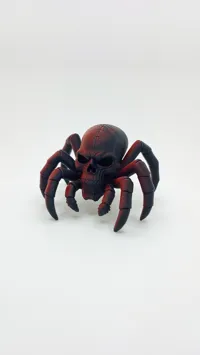 Araignée-crâne de la Grotte de l'Ombre — photo 3