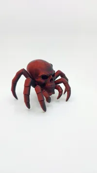 Araignée-crâne de la Grotte de l'Ombre — photo 4