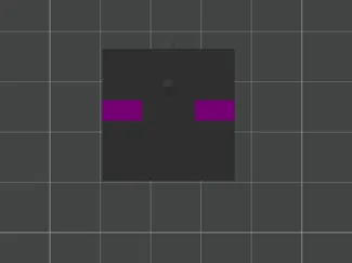 enderman head