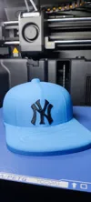 NY Logo Cap for Tweety
