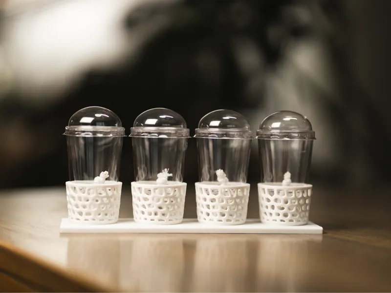 Corm Caddy