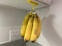 Large Hanger
