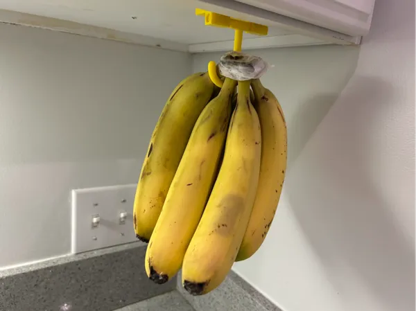 https://makerworld.bblmw.com/makerworld/model/USe88c446eb8a3b0/design/2025-01-10_76cfa5bec599a.jpg