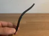 Only the Bow