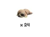 Dozy (24 units)