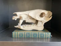 A1 mini version.