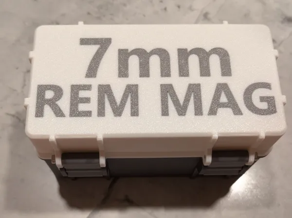 https://makerworld.bblmw.com/makerworld/model/USe89f04609898f6/design/2025-03-28_b1a4f7a4693ba.jpg